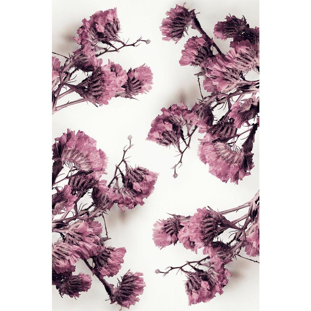 ArtzFolio Cyclamen Dried Flowers Unframed Paper Poster-Paper Posters Unframed-AZART23269816POS_UN_L-Image Code 5002897 Vishnu Image Folio Pvt Ltd, IC 5002897, ArtzFolio, Paper Posters Unframed, Floral, Photography, cyclamen, dried, flowers, unframed, paper, poster, wall, large, size, for, living, room, home, decoration, big, framed, decor, posters, pitaara, box, modern, art, with, frame, bedroom, amazonbasics, door, drawing, small, decorative, office, reception, multiple, friends, images, reprints, reprint,