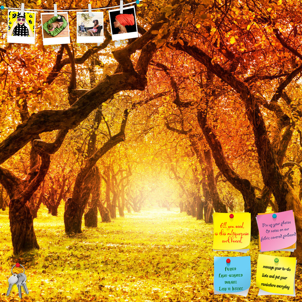 ArtzFolio Autumn Landscape D6 Printed Bulletin Board Notice Pin Board Soft Board | Frameless-Bulletin Boards Frameless-AZSAO23330333BLB_FL_L-Image Code 5002900 Vishnu Image Folio Pvt Ltd, IC 5002900, ArtzFolio, Bulletin Boards Frameless, Landscapes, Photography, autumn, landscape, d6, printed, bulletin, board, notice, pin, soft, frameless, fall, autumnal, park, trees, leaves, tree, forest, sunlight, red, yellow, orange, season, golden, nature, woods, sun, bright, foliage, vibrant, brown, sunny, light, color