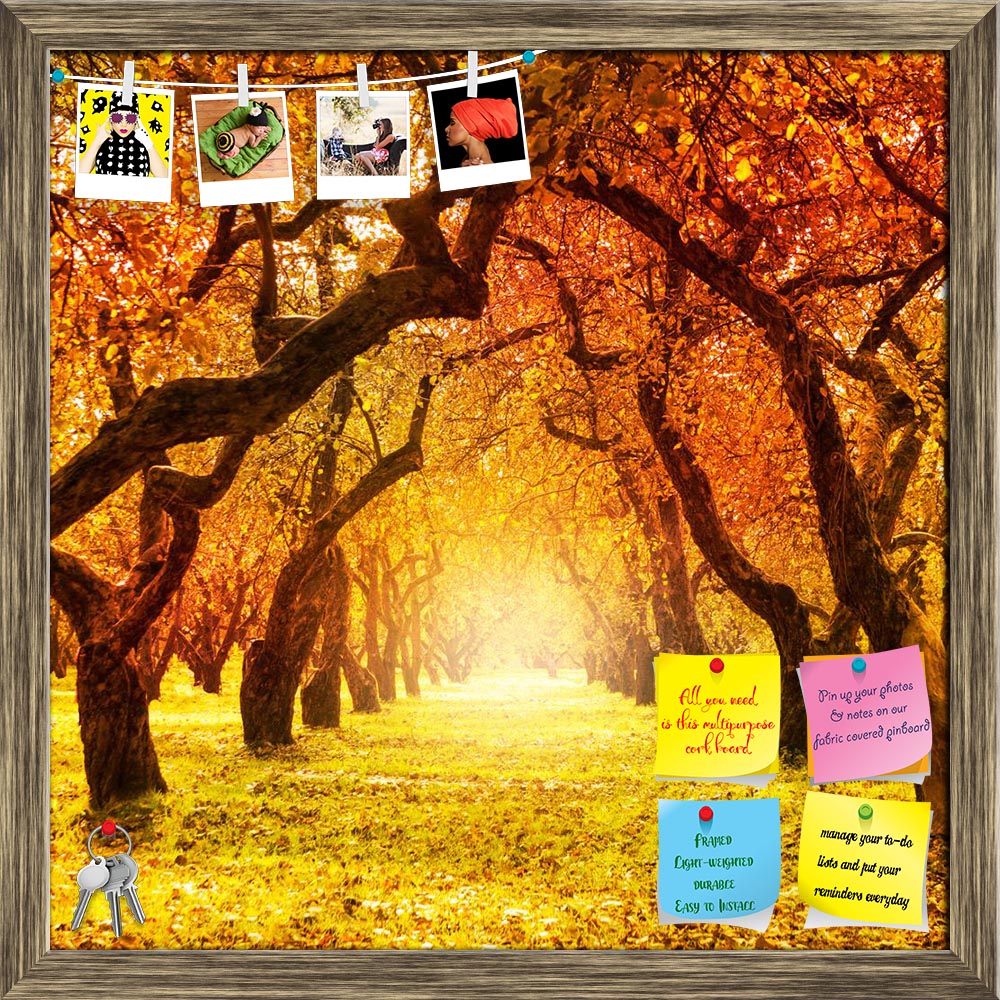ArtzFolio Autumn Landscape D6 Printed Bulletin Board Notice Pin Board Soft Board | Framed-Bulletin Boards Framed-AZSAO23330333BLB_FR_L-Image Code 5002900 Vishnu Image Folio Pvt Ltd, IC 5002900, ArtzFolio, Bulletin Boards Framed, Landscapes, Photography, autumn, landscape, d6, printed, bulletin, board, notice, pin, soft, framed, fall, autumnal, park, trees, leaves, tree, forest, sunlight, red, yellow, orange, season, golden, nature, woods, sun, bright, foliage, vibrant, brown, sunny, light, color, colorful, 