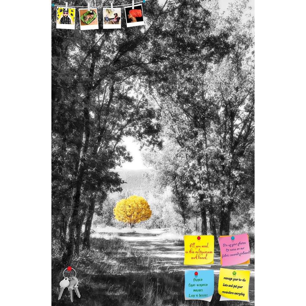 ArtzFolio Yellow Tree In The Path Printed Bulletin Board Notice Pin Board Soft Board | Frameless-Bulletin Boards Frameless-AZSAO23374417BLB_FL_L-Image Code 5002904 Vishnu Image Folio Pvt Ltd, IC 5002904, ArtzFolio, Bulletin Boards Frameless, Landscapes, Photography, yellow, tree, in, the, path, printed, bulletin, board, notice, pin, soft, frameless, forest, black, white, bright, autumn, day, pin up board, push pin board, extra large cork board, big pin board, notice board, small bulletin board, cork board, 