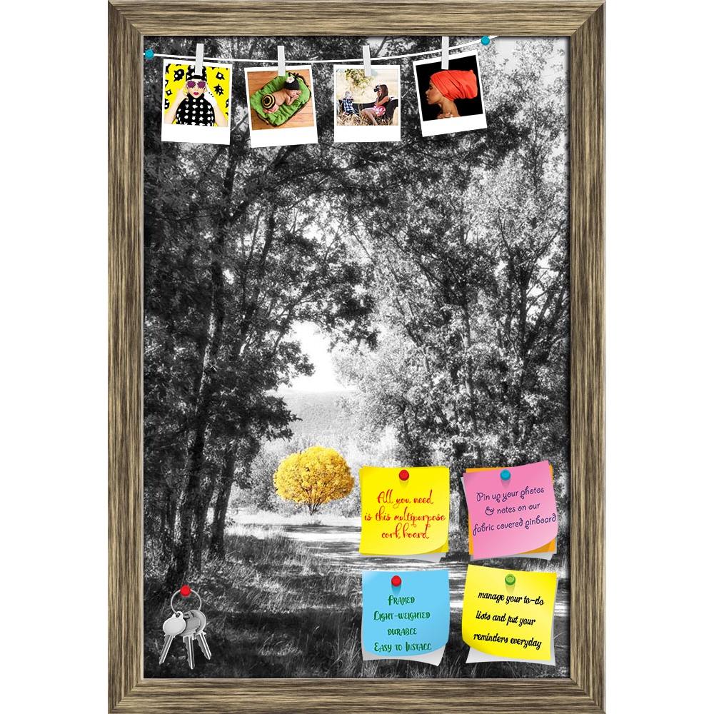 ArtzFolio Yellow Tree In The Path Printed Bulletin Board Notice Pin Board Soft Board | Framed-Bulletin Boards Framed-AZSAO23374417BLB_FR_L-Image Code 5002904 Vishnu Image Folio Pvt Ltd, IC 5002904, ArtzFolio, Bulletin Boards Framed, Landscapes, Photography, yellow, tree, in, the, path, printed, bulletin, board, notice, pin, soft, framed, forest, black, white, bright, autumn, day, pin up board, push pin board, extra large cork board, big pin board, notice board, small bulletin board, cork board, wall notice 