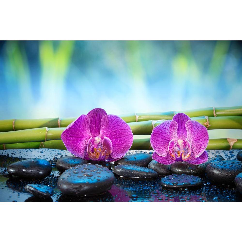 ArtzFolio Orchid Garden Unframed Paper Poster-Paper Posters Unframed-AZART23531941POS_UN_L-Image Code 5002928 Vishnu Image Folio Pvt Ltd, IC 5002928, ArtzFolio, Paper Posters Unframed, Fashion, Photography, orchid, garden, unframed, paper, poster, wall, large, size, for, living, room, home, decoration, big, framed, decor, posters, pitaara, box, modern, art, with, frame, bedroom, amazonbasics, door, drawing, small, decorative, office, reception, multiple, friends, images, reprints, reprint, kids, bathroom, d