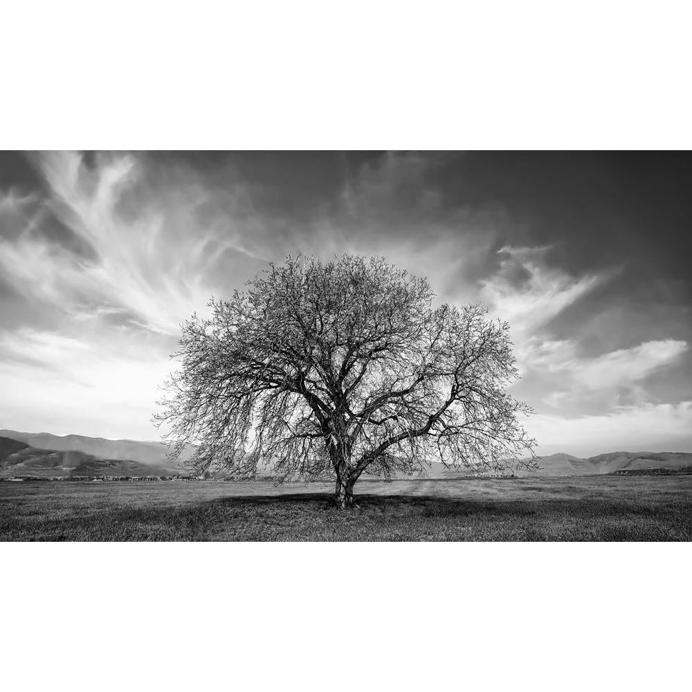 Abstract Tree Canvas Painting Synthetic Frame - Paintings MDF Framing - ArtzFolio.com