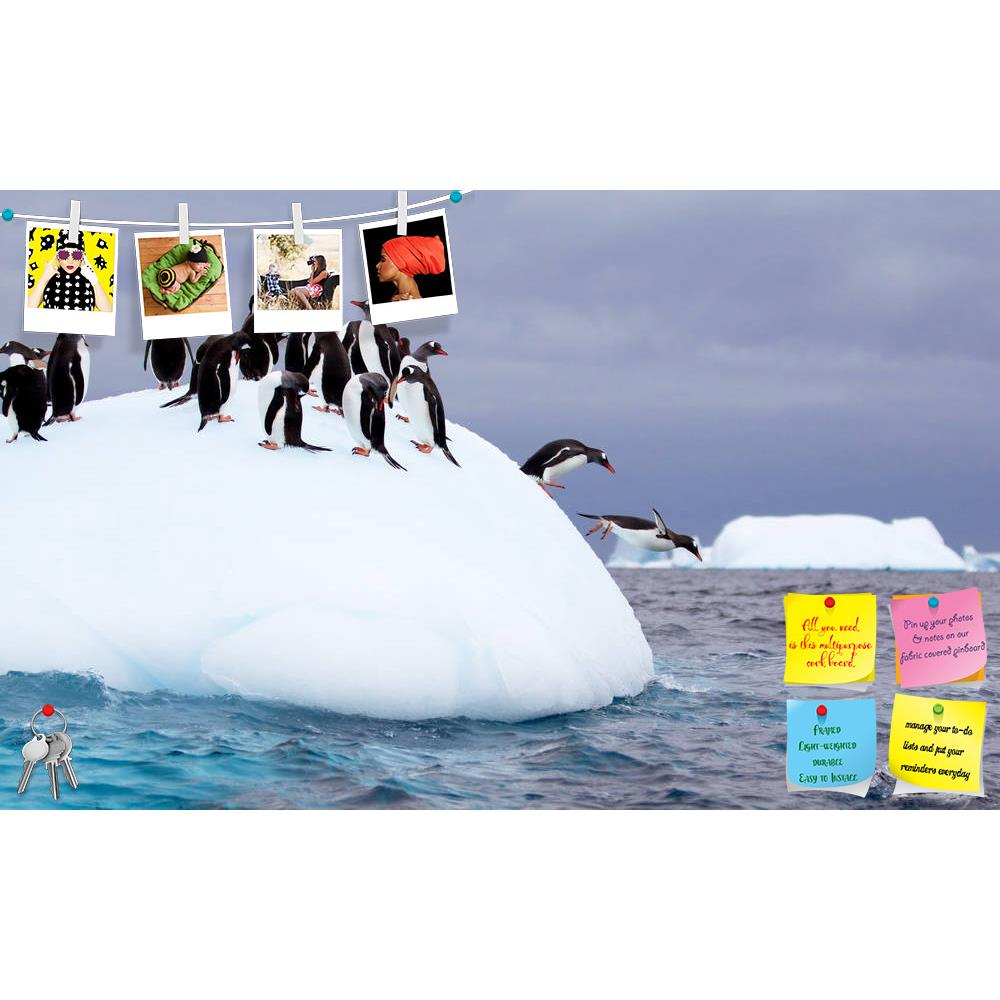 ArtzFolio Gentoo Penguin Jumping Into Water From Iceberg Printed Bulletin Board Notice Pin Board Soft Board | Frameless-Bulletin Boards Frameless-AZSAO23982187BLB_FL_L-Image Code 5002970 Vishnu Image Folio Pvt Ltd, IC 5002970, ArtzFolio, Bulletin Boards Frameless, Animals, Photography, gentoo, penguin, jumping, into, water, from, iceberg, printed, bulletin, board, notice, pin, soft, frameless, pin up board, push pin board, extra large cork board, big pin board, notice board, small bulletin board, cork board