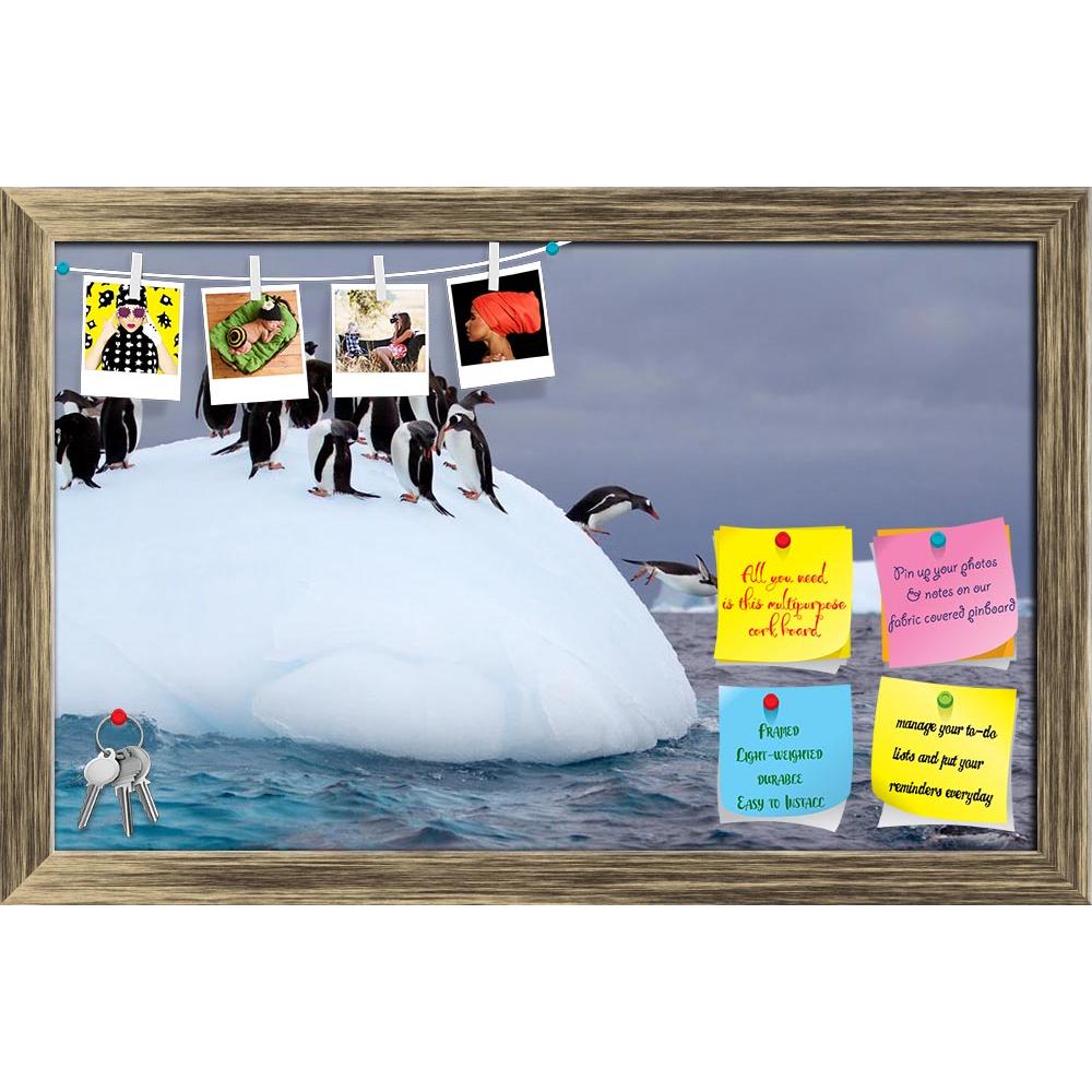 ArtzFolio Gentoo Penguin Jumping Into Water From Iceberg Printed Bulletin Board Notice Pin Board Soft Board | Framed-Bulletin Boards Framed-AZSAO23982187BLB_FR_L-Image Code 5002970 Vishnu Image Folio Pvt Ltd, IC 5002970, ArtzFolio, Bulletin Boards Framed, Animals, Photography, gentoo, penguin, jumping, into, water, from, iceberg, printed, bulletin, board, notice, pin, soft, framed, pin up board, push pin board, extra large cork board, big pin board, notice board, small bulletin board, cork board, wall notic