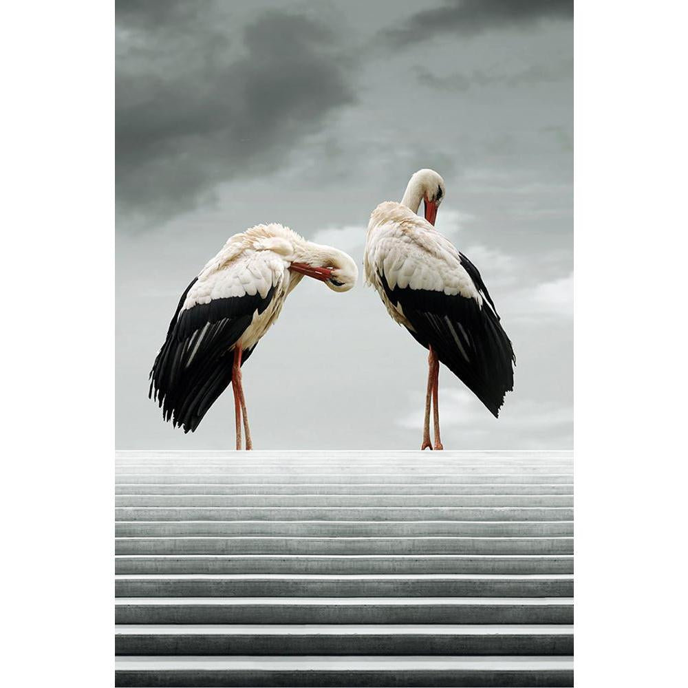 ArtzFolio Two Beautiful Waterfowl Unframed Paper Poster-Paper Posters Unframed-AZART24060785POS_UN_L-Image Code 5002976 Vishnu Image Folio Pvt Ltd, IC 5002976, ArtzFolio, Paper Posters Unframed, Animals, Conceptual, Kids, Photography, two, beautiful, waterfowl, unframed, paper, poster, wall, large, size, for, living, room, home, decoration, big, framed, decor, posters, pitaara, box, modern, art, with, frame, bedroom, amazonbasics, door, drawing, small, decorative, office, reception, multiple, friends, image