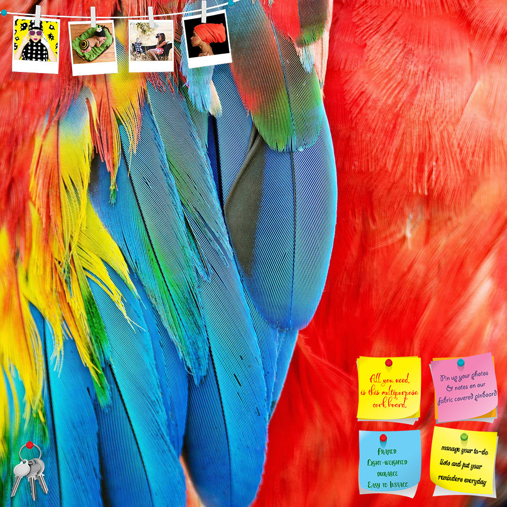 ArtzFolio Scarlet Macaw Feathers D1 Printed Bulletin Board Notice Pin Board Soft Board | Frameless-Bulletin Boards Frameless-AZSAO24253907BLB_FL_L-Image Code 5002994 Vishnu Image Folio Pvt Ltd, IC 5002994, ArtzFolio, Bulletin Boards Frameless, Birds, Kids, Photography, scarlet, macaw, feathers, d1, printed, bulletin, board, notice, pin, soft, frameless, colorful, texture, parrot, exotic, bird, animal, yellow, background, tropical, red, nature, color, rainbow, wild, wildlife, beautiful, jungle, blue, abstrac