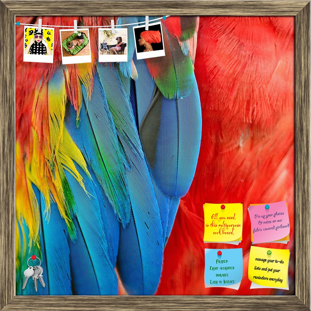 ArtzFolio Scarlet Macaw Feathers D1 Printed Bulletin Board Notice Pin Board Soft Board | Framed-Bulletin Boards Framed-AZSAO24253907BLB_FR_L-Image Code 5002994 Vishnu Image Folio Pvt Ltd, IC 5002994, ArtzFolio, Bulletin Boards Framed, Birds, Kids, Photography, scarlet, macaw, feathers, d1, printed, bulletin, board, notice, pin, soft, framed, colorful, texture, parrot, exotic, bird, animal, yellow, background, tropical, red, nature, color, rainbow, wild, wildlife, beautiful, jungle, blue, abstract, green, pa