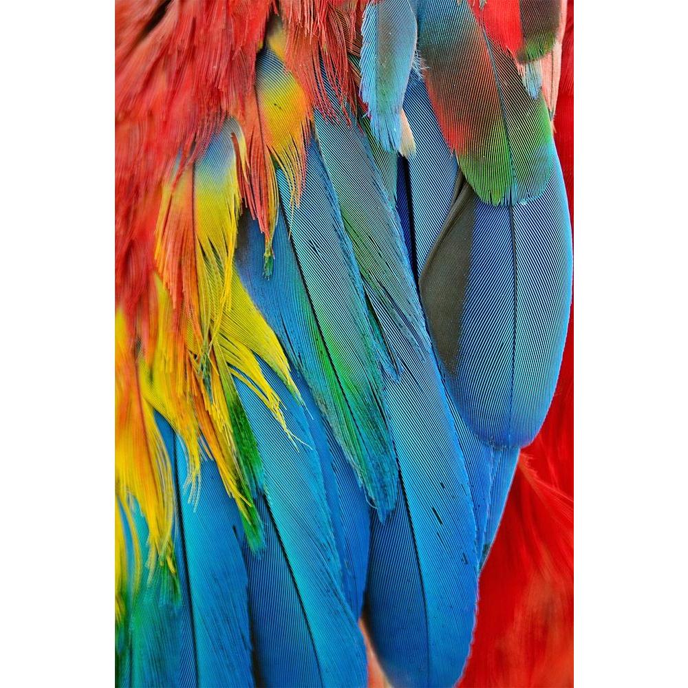 ArtzFolio Scarlet Macaw Feathers D1 Unframed Paper Poster-Paper Posters Unframed-AZART24253907POS_UN_L-Image Code 5002994 Vishnu Image Folio Pvt Ltd, IC 5002994, ArtzFolio, Paper Posters Unframed, Birds, Kids, Photography, scarlet, macaw, feathers, d1, unframed, paper, poster, wall, large, size, for, living, room, home, decoration, big, framed, decor, posters, pitaara, box, modern, art, with, frame, bedroom, amazonbasics, door, drawing, small, decorative, office, reception, multiple, friends, images, reprin
