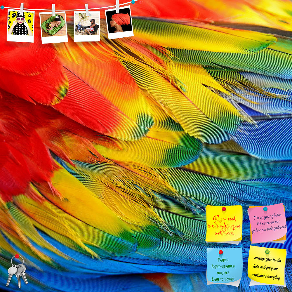 ArtzFolio Scarlet Macaw Feathers D2 Printed Bulletin Board Notice Pin Board Soft Board | Frameless-Bulletin Boards Frameless-AZSAO24254052BLB_FL_L-Image Code 5002995 Vishnu Image Folio Pvt Ltd, IC 5002995, ArtzFolio, Bulletin Boards Frameless, Birds, Kids, Photography, scarlet, macaw, feathers, d2, printed, bulletin, board, notice, pin, soft, frameless, colorful, texture, parrot, exotic, bird, animal, yellow, background, tropical, red, nature, color, rainbow, wild, wildlife, beautiful, jungle, blue, abstrac