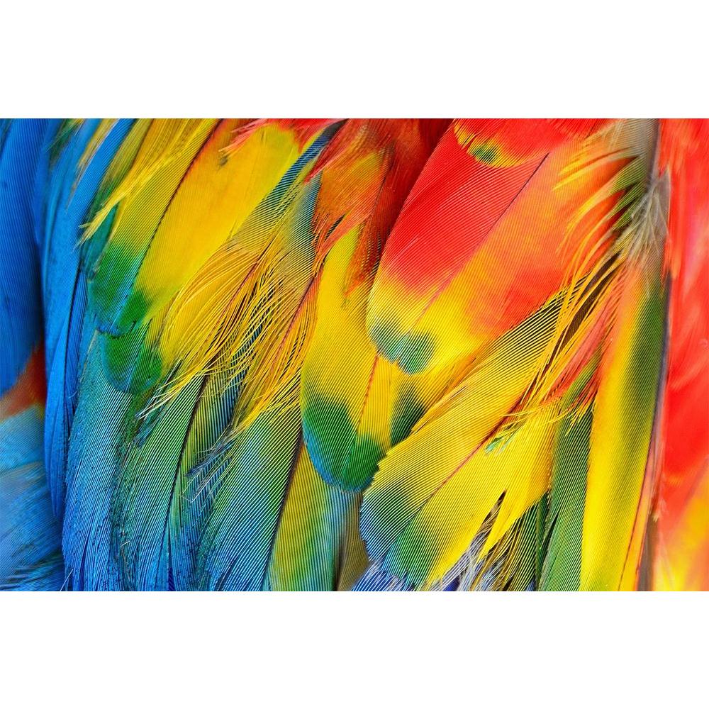 ArtzFolio Scarlet Macaw Feathers D2 Unframed Paper Poster-Paper Posters Unframed-AZART24254052POS_UN_L-Image Code 5002995 Vishnu Image Folio Pvt Ltd, IC 5002995, ArtzFolio, Paper Posters Unframed, Birds, Kids, Photography, scarlet, macaw, feathers, d2, unframed, paper, poster, wall, large, size, for, living, room, home, decoration, big, framed, decor, posters, pitaara, box, modern, art, with, frame, bedroom, amazonbasics, door, drawing, small, decorative, office, reception, multiple, friends, images, reprin