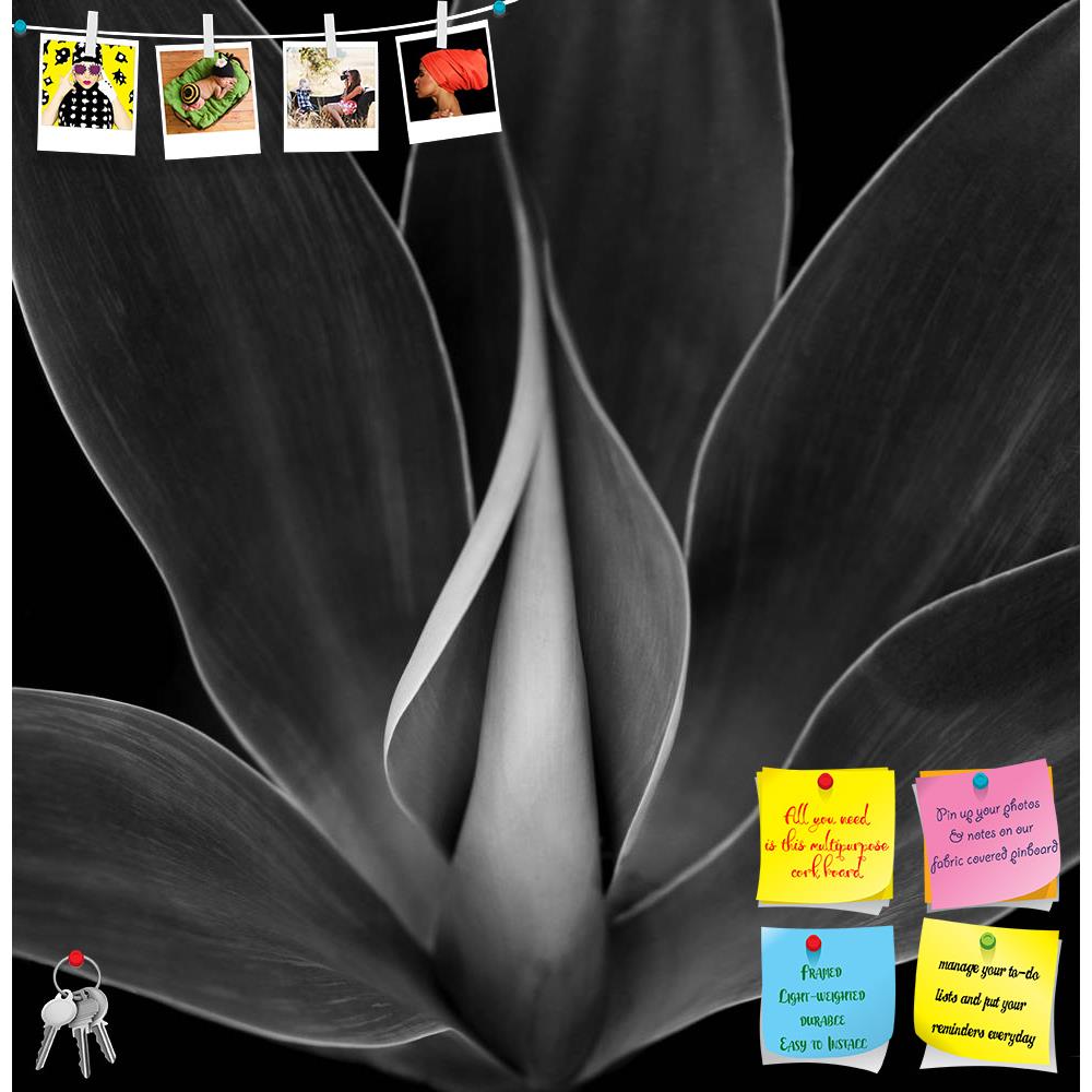 ArtzFolio Blue Agave Plant Printed Bulletin Board Notice Pin Board Soft Board | Frameless-Bulletin Boards Frameless-AZSAO24380132BLB_FL_L-Image Code 5003027 Vishnu Image Folio Pvt Ltd, IC 5003027, ArtzFolio, Bulletin Boards Frameless, Floral, Photography, blue, agave, plant, printed, bulletin, board, notice, pin, soft, frameless, beautiful, black, white, image, abstract, america, background, botanical, cactus, closeup, desert, detail, environment, flora, frame, garden, green, landscape, leaf, leaves, lines,