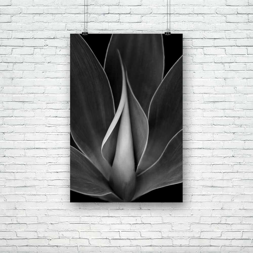 Blue Agave Plant D1 Unframed Paper Poster-Paper Posters Unframed-POS_UN-IC 5003027 IC 5003027, Abstract Expressionism, Abstracts, American, Black, Black and White, Botanical, Floral, Flowers, Landscapes, Nature, Patterns, Scenic, Semi Abstract, White, blue, agave, plant, d1, unframed, paper, poster, abstract, america, background, beautiful, cactus, closeup, desert, detail, environment, flora, frame, garden, green, landscape, leaf, leaves, lines, natural, new, outdoors, pattern, sea, shape, sky, summer, sunn