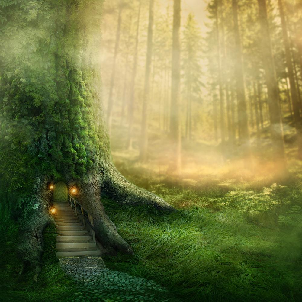 Fantasy Tree House In Forest Canvas Painting Synthetic Frame-Paintings MDF Framing-AFF_FR-IC 5003056 IC 5003056, Fantasy, Landscapes, Nature, Scenic, Surrealism, Wooden, tree, house, in, forest, canvas, painting, synthetic, frame, fairy, enchanted, tale, magic, landscape, tales, fairytale, fairies, imagine, door, adventure, big, bright, dark, darkness, deep, fog, green, home, imagination, lamp, lantern, leaves, light, mist, misty, mysterious, mystery, natural, night, nobody, outdoor, plant, road, shine, spa