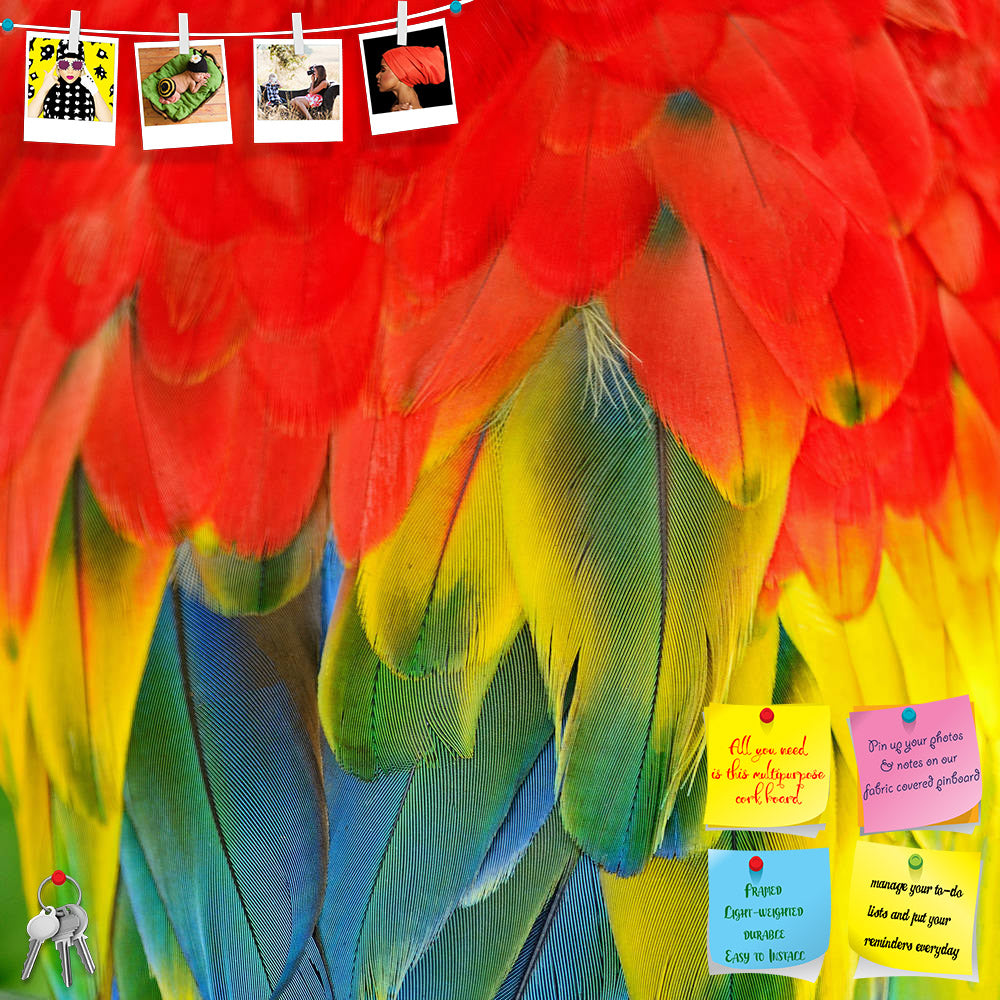 ArtzFolio Scarlet Macaw Feathers D3 Printed Bulletin Board Notice Pin Board Soft Board | Frameless-Bulletin Boards Frameless-AZSAO24606403BLB_FL_L-Image Code 5003065 Vishnu Image Folio Pvt Ltd, IC 5003065, ArtzFolio, Bulletin Boards Frameless, Birds, Kids, Photography, scarlet, macaw, feathers, d3, printed, bulletin, board, notice, pin, soft, frameless, colorful, background, texture, parrot, exotic, bird, animal, yellow, tropical, red, nature, color, rainbow, wild, wildlife, beautiful, jungle, blue, abstrac