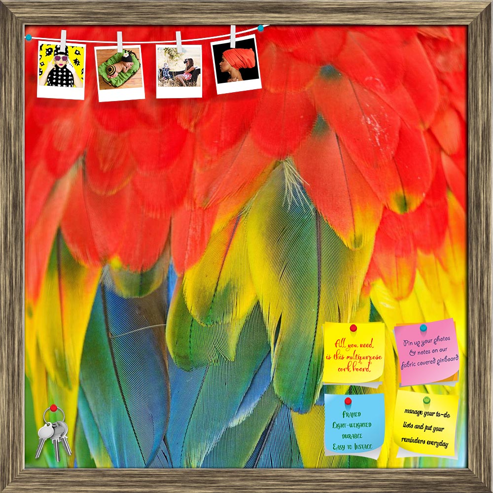 ArtzFolio Scarlet Macaw Feathers D3 Printed Bulletin Board Notice Pin Board Soft Board | Framed-Bulletin Boards Framed-AZSAO24606403BLB_FR_L-Image Code 5003065 Vishnu Image Folio Pvt Ltd, IC 5003065, ArtzFolio, Bulletin Boards Framed, Birds, Kids, Photography, scarlet, macaw, feathers, d3, printed, bulletin, board, notice, pin, soft, framed, colorful, background, texture, parrot, exotic, bird, animal, yellow, tropical, red, nature, color, rainbow, wild, wildlife, beautiful, jungle, blue, abstract, green, pa