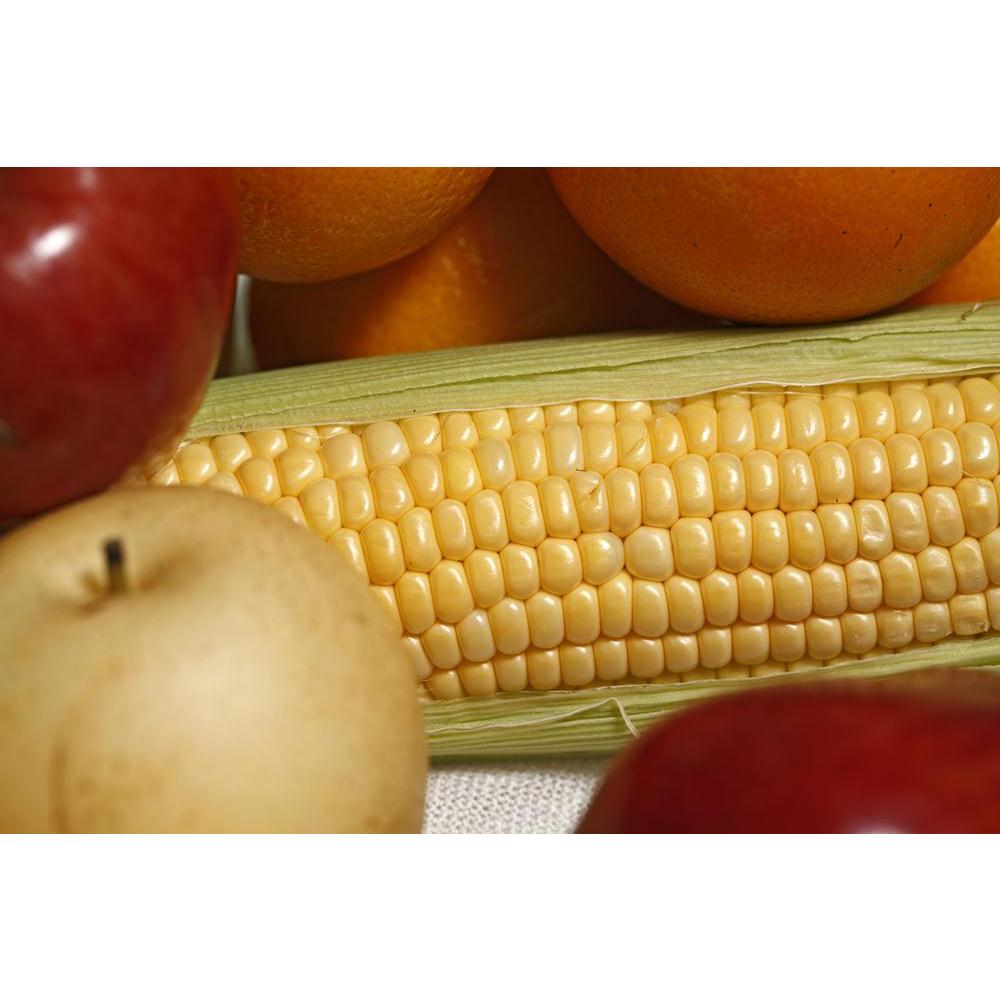 Photo of Organic Fruit Photo Canvas Painting Synthetic Frame-Paintings MDF Framing-AFF_FR-IC 5003068 IC 5003068, Ancient, Art and Paintings, Black and White, Conceptual, Cuisine, Fine Art Reprint, Food, Food and Beverage, Food and Drink, Fruit and Vegetable, Fruits, Health, Historical, Medieval, Paintings, Retro, Still Life, Vintage, White, photo, of, organic, fruit, canvas, painting, synthetic, frame, antique, apple, art, artistic, background, beauty, bouquet, classical, color, colorful, composition, conce