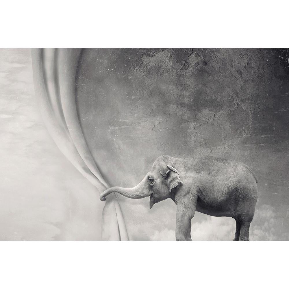 ArtzFolio Elephant That Opens A Curtain With Its Trunk Unframed Paper Poster-Paper Posters Unframed-AZART24693433POS_UN_L-Image Code 5003080 Vishnu Image Folio Pvt Ltd, IC 5003080, ArtzFolio, Paper Posters Unframed, Animals, Conceptual, Kids, Digital Art, elephant, that, opens, a, curtain, with, its, trunk, unframed, paper, poster, wall, large, size, for, living, room, home, decoration, big, framed, decor, posters, pitaara, box, modern, art, frame, bedroom, amazonbasics, door, drawing, small, decorative, of