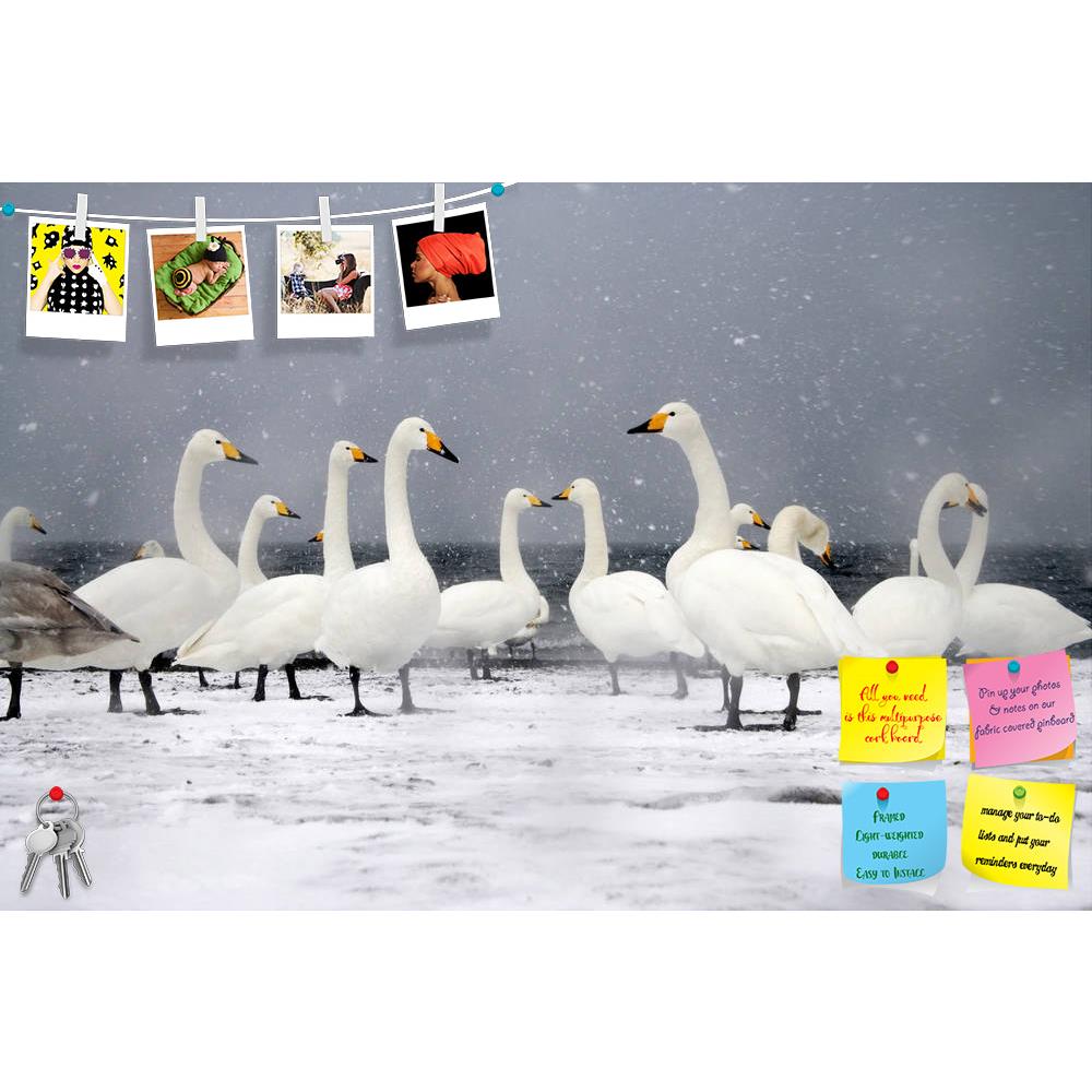 ArtzFolio Group Of Birds On Snow Printed Bulletin Board Notice Pin Board Soft Board | Frameless-Bulletin Boards Frameless-AZSAO24994154BLB_FL_L-Image Code 5003137 Vishnu Image Folio Pvt Ltd, IC 5003137, ArtzFolio, Bulletin Boards Frameless, Birds, Photography, group, of, on, snow, printed, bulletin, board, notice, pin, soft, frameless, whooper, swan, cygnus, waterfowl, water, bird, wildlife, uk, british, winter, ice, nature, animal, britain, pin up board, push pin board, extra large cork board, big pin boar