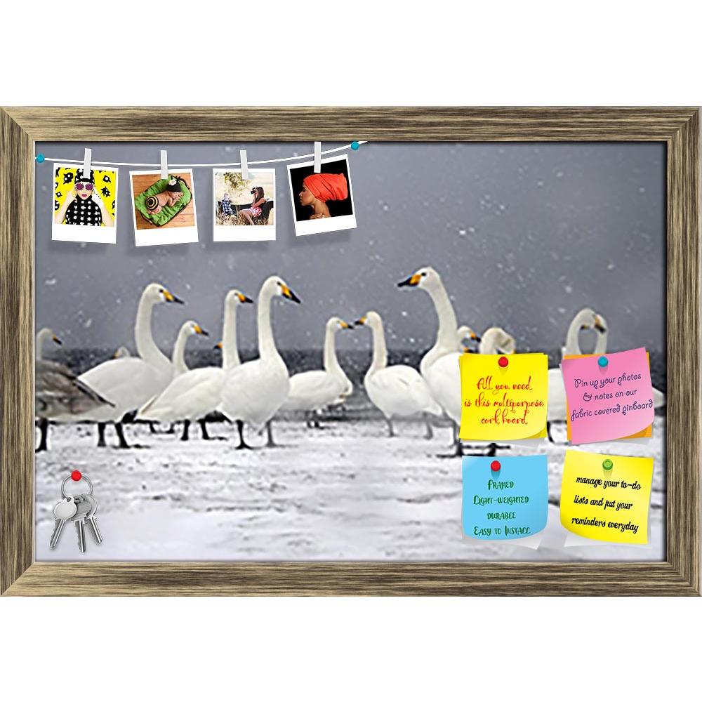 ArtzFolio Group Of Birds On Snow Printed Bulletin Board Notice Pin Board Soft Board | Framed-Bulletin Boards Framed-AZSAO24994154BLB_FR_L-Image Code 5003137 Vishnu Image Folio Pvt Ltd, IC 5003137, ArtzFolio, Bulletin Boards Framed, Birds, Photography, group, of, on, snow, printed, bulletin, board, notice, pin, soft, framed, whooper, swan, cygnus, waterfowl, water, bird, wildlife, uk, british, winter, ice, nature, animal, britain, pin up board, push pin board, extra large cork board, big pin board, notice bo