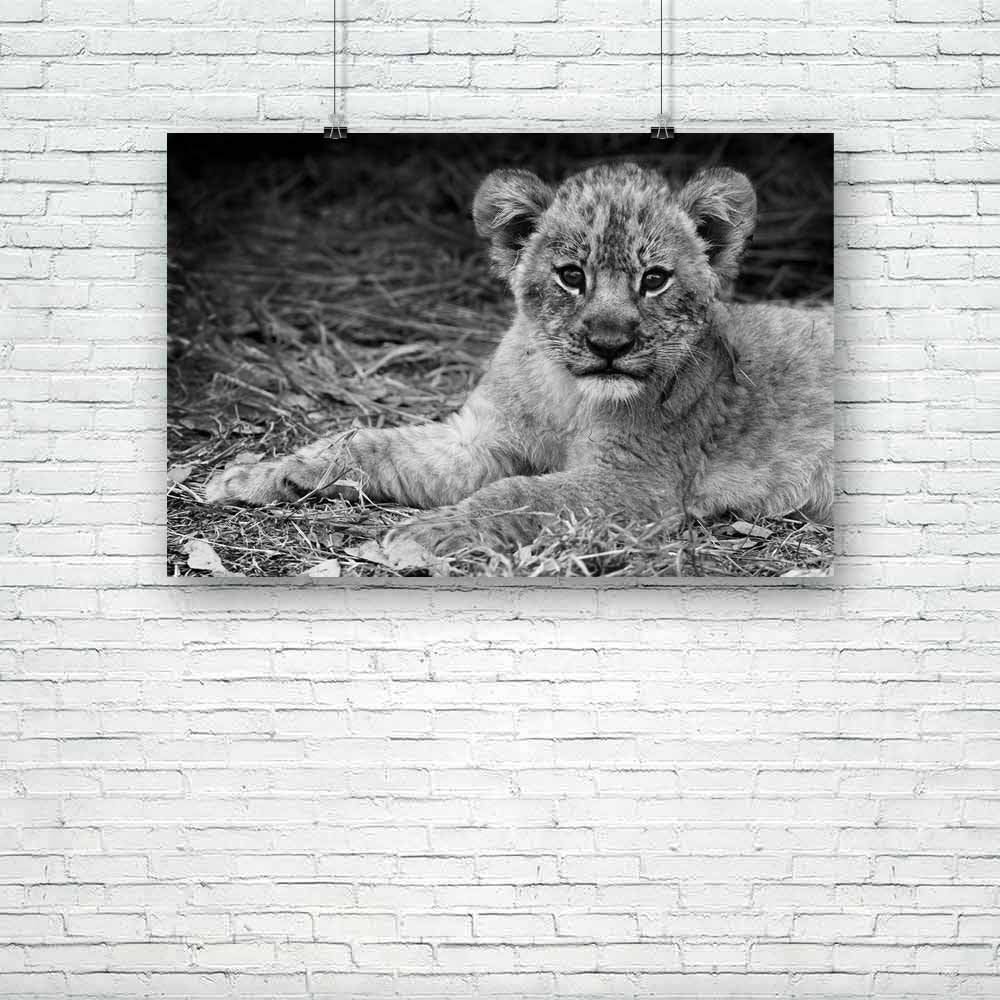 Cute Lion Cub D1 Unframed Paper Poster-Paper Posters Unframed-POS_UN-IC 5003170 IC 5003170, African, Animals, Baby, Black, Black and White, Children, Kids, Nature, Scenic, White, Wildlife, cute, lion, cub, d1, unframed, paper, poster, adorable, africa, animal, beautiful, big, carnivore, cat, close, closeup, conservation, cuddly, expression, eyes, feline, fur, furry, golden, kitten, leo, male, mammal, national, park, pose, predator, safari, savannah, small, tourism, wild, young, zambia, artzfolio, posters, w