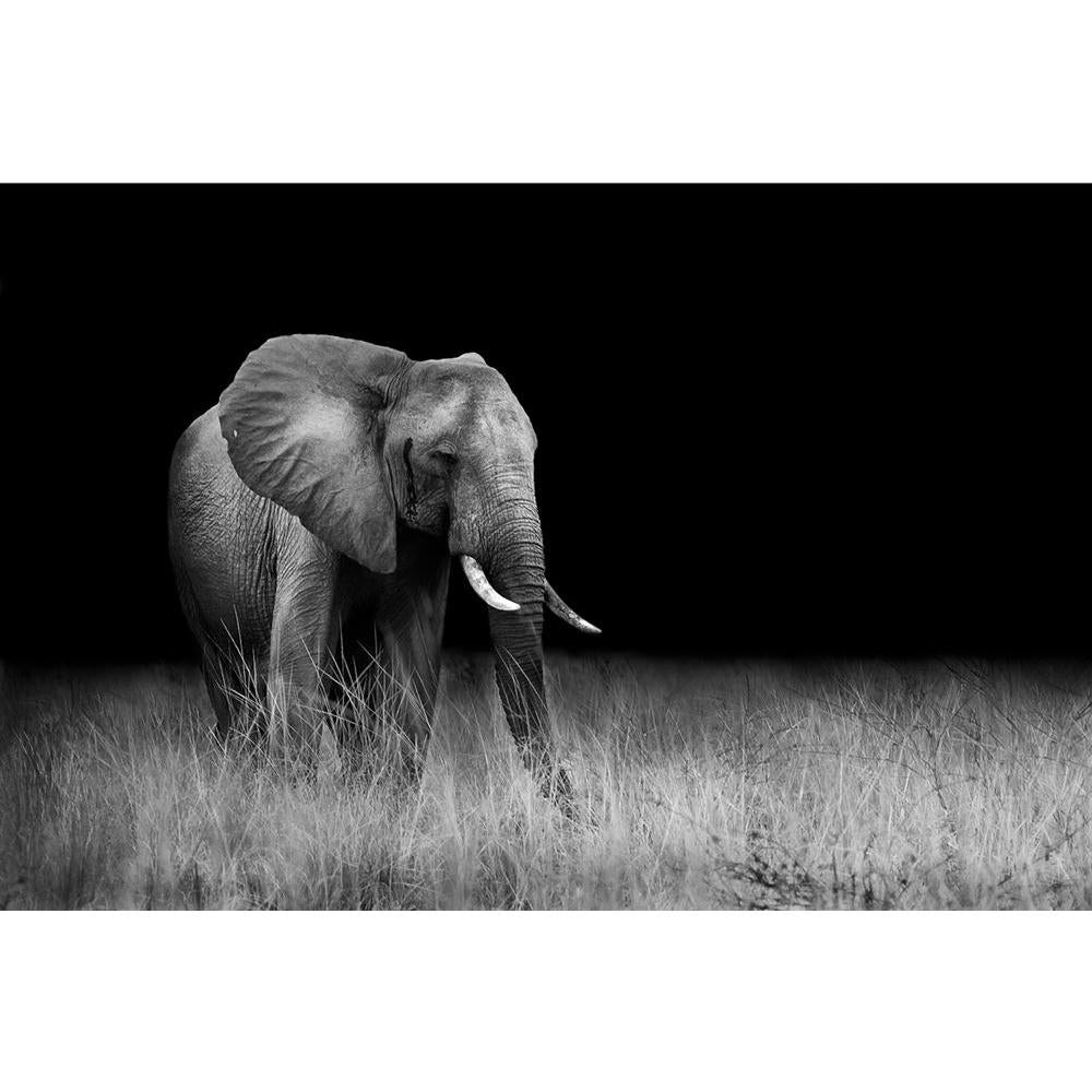 ArtzFolio Wild Elephant In The African Savannah Unframed Paper Poster-Paper Posters Unframed-AZART25234497POS_UN_L-Image Code 5003171 Vishnu Image Folio Pvt Ltd, IC 5003171, ArtzFolio, Paper Posters Unframed, Animals, Photography, wild, elephant, in, the, african, savannah, unframed, paper, poster, wall, large, size, for, living, room, home, decoration, big, framed, decor, posters, pitaara, box, modern, art, with, frame, bedroom, amazonbasics, door, drawing, small, decorative, office, reception, multiple, f