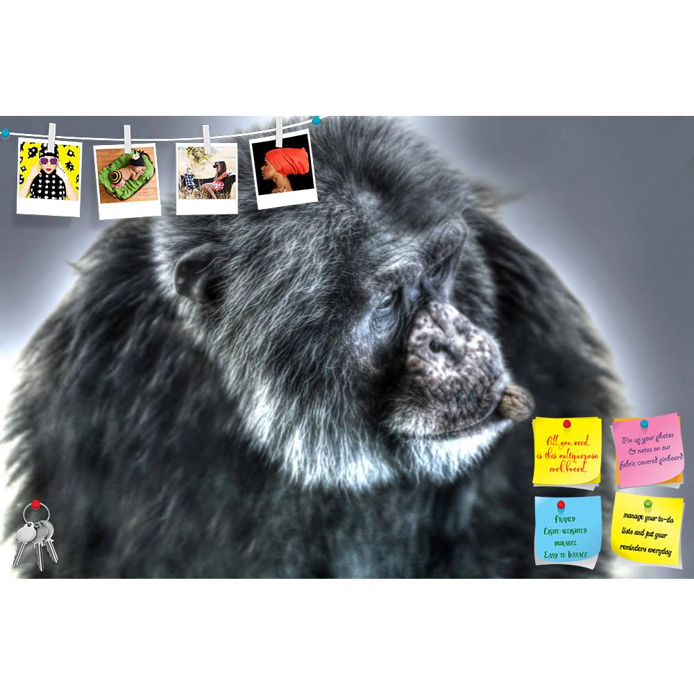 ArtzFolio Chimpanzee With Nut In The Mouth Printed Bulletin Board Notice Pin Board Soft Board | Frameless-Bulletin Boards Frameless-AZSAO25238845BLB_FL_L-Image Code 5003172 Vishnu Image Folio Pvt Ltd, IC 5003172, ArtzFolio, Bulletin Boards Frameless, Animals, Photography, chimpanzee, with, nut, in, the, mouth, printed, bulletin, board, notice, pin, soft, frameless, pan, troglodytes, africa, african, animal, creative, abstract, ape, chimp, chimpanzees, chimps, creature, endangered, evolution, face, front, fu