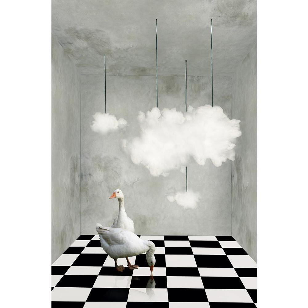 ArtzFolio Two Beautiful Ducks On A Checkered Floor Unframed Paper Poster-Paper Posters Unframed-AZART25474380POS_UN_L-Image Code 5003199 Vishnu Image Folio Pvt Ltd, IC 5003199, ArtzFolio, Paper Posters Unframed, Birds, Conceptual, Kids, Photography, two, beautiful, ducks, on, a, checkered, floor, unframed, paper, poster, wall, large, size, for, living, room, home, decoration, big, framed, decor, posters, pitaara, box, modern, art, with, frame, bedroom, amazonbasics, door, drawing, small, decorative, office,