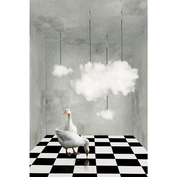 Two Beautiful Ducks On A Checkered Floor Unframed Paper Poster-Paper Posters Unframed-POS_UN-IC 5003199 IC 5003199, Abstract Expressionism, Abstracts, Animals, Art and Paintings, Birds, Black, Black and White, Collages, Conceptual, Decorative, Education, Illustrations, Nature, Realism, Scenic, Schools, Semi Abstract, Spiritual, Surrealism, Universities, White, two, beautiful, ducks, on, a, checkered, floor, unframed, paper, wall, poster, abstract, animal, art, artistic, bird, box, ceiling, chessboard, cloud