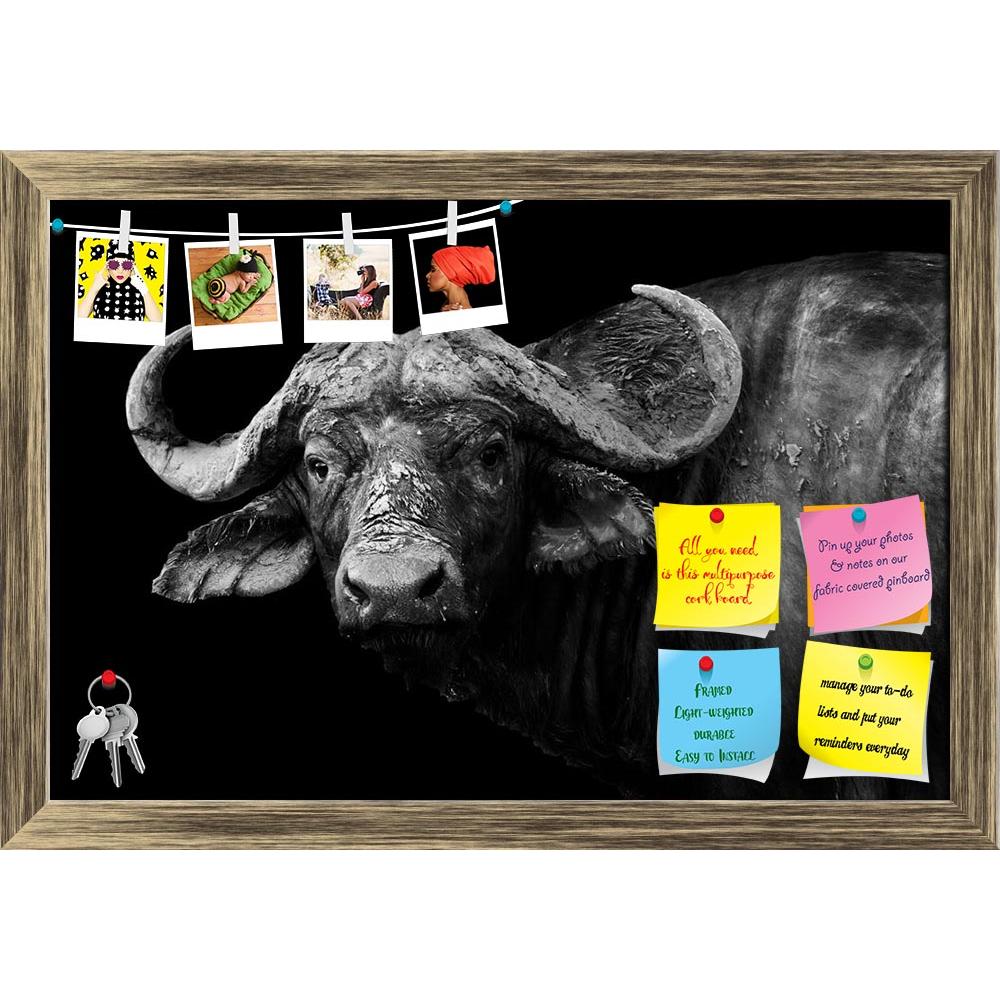 ArtzFolio Wild African Buffalo Printed Bulletin Board Notice Pin Board Soft Board | Framed-Bulletin Boards Framed-AZSAO25853809BLB_FR_L-Image Code 5003227 Vishnu Image Folio Pvt Ltd, IC 5003227, ArtzFolio, Bulletin Boards Framed, Animals, Photography, wild, african, buffalo, printed, bulletin, board, notice, pin, soft, framed, artistic, black, white, image, monochrome, south, luangwa, zambia, africa, animal, and, conservation, facing, game, herd, large, looking, mammal, national, nature, park, reserve, safa
