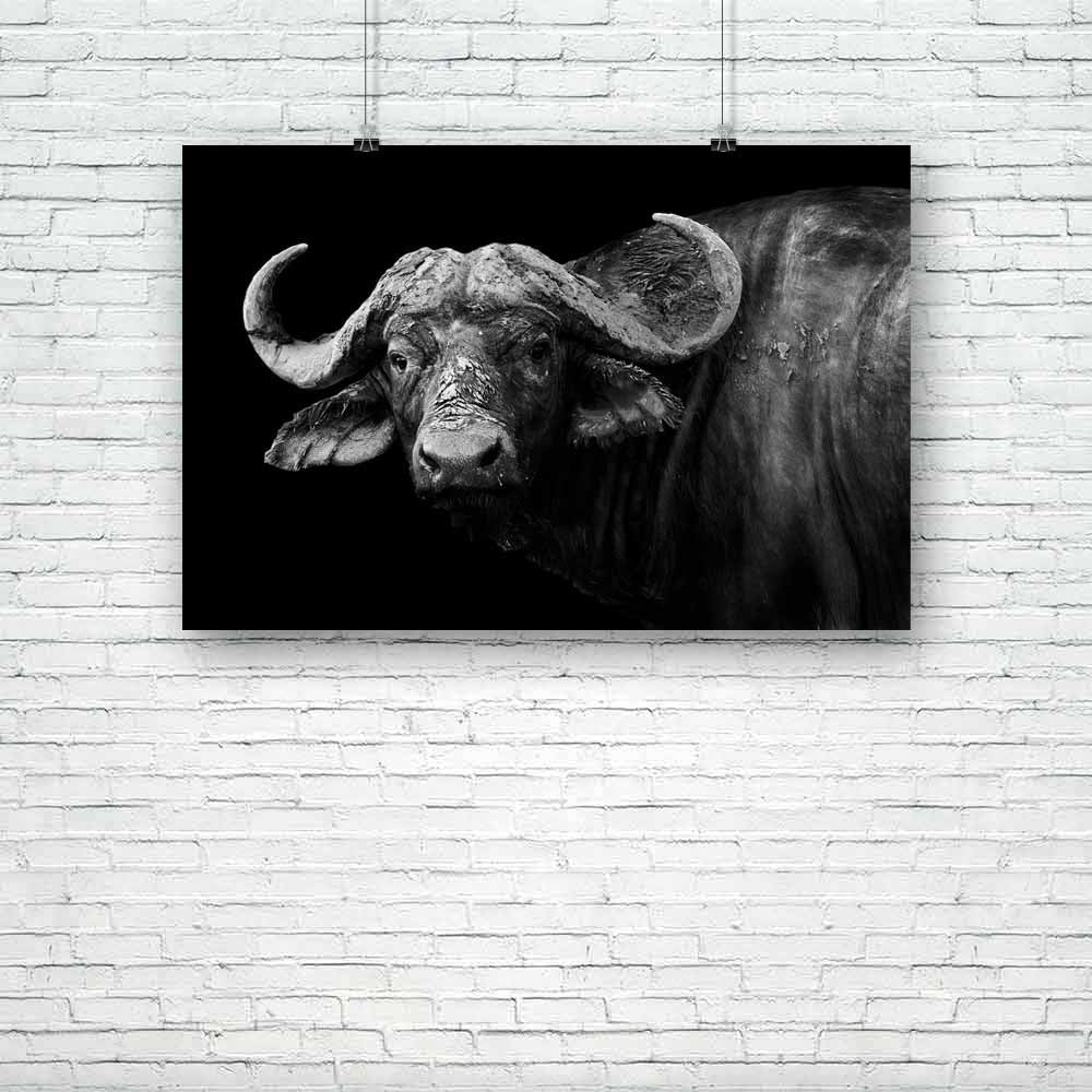 Wild African Buffalo Unframed Paper Poster-Paper Posters Unframed-POS_UN-IC 5003227 IC 5003227, African, Animals, Black, Black and White, Nature, Scenic, Sports, White, Wildlife, wild, buffalo, unframed, paper, poster, africa, animal, and, conservation, facing, game, herd, large, looking, mammal, monochrome, national, park, reserve, safari, savanna, vacation, zambia, artzfolio, posters, wall posters, posters for room, posters for room decoration, office poster, door poster, baby poster, motivational posters