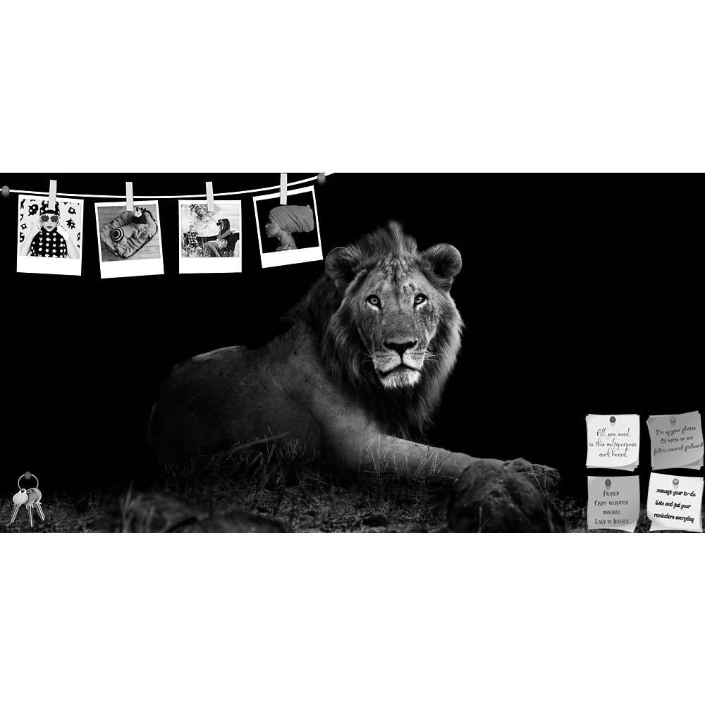 ArtzFolio Wild Lion Printed Bulletin Board Notice Pin Board Soft Board | Frameless-Bulletin Boards Frameless-AZSAO25853812BLB_FL_L-Image Code 5003228 Vishnu Image Folio Pvt Ltd, IC 5003228, ArtzFolio, Bulletin Boards Frameless, Animals, Photography, wild, lion, printed, bulletin, board, notice, pin, soft, frameless, resting, grass, buffalo, africa, african, animal, beautiful, big, five, black, mane, carnivore, cat, cub, dangerous, east, endangered, environment, family, feline, female, hunter, kenya, king, l