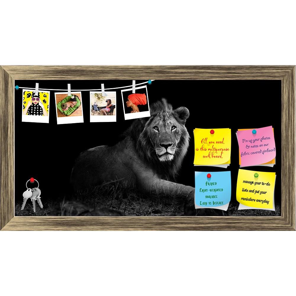 ArtzFolio Wild Lion Printed Bulletin Board Notice Pin Board Soft Board | Framed-Bulletin Boards Framed-AZSAO25853812BLB_FR_L-Image Code 5003228 Vishnu Image Folio Pvt Ltd, IC 5003228, ArtzFolio, Bulletin Boards Framed, Animals, Photography, wild, lion, printed, bulletin, board, notice, pin, soft, framed, resting, grass, buffalo, africa, african, animal, beautiful, big, five, black, mane, carnivore, cat, cub, dangerous, east, endangered, environment, family, feline, female, hunter, kenya, king, large, leader