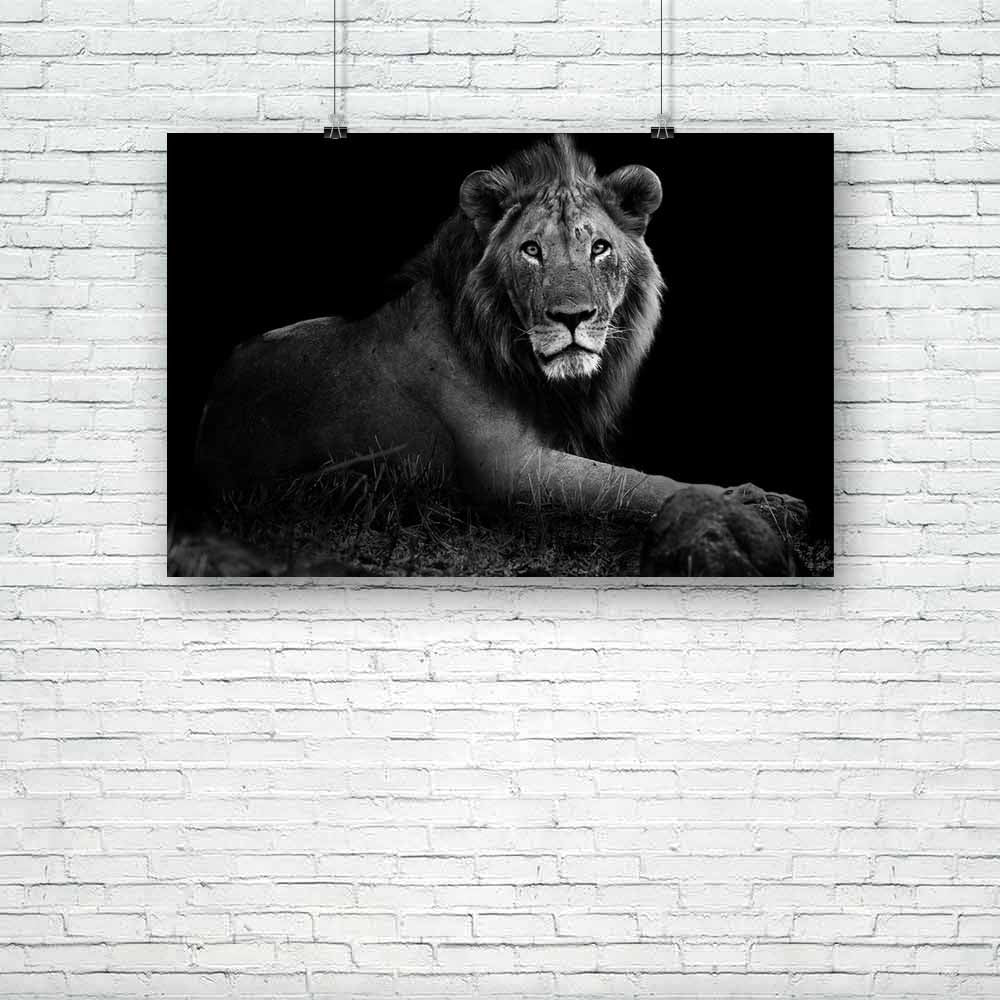 Wild Lion Unframed Paper Poster-Paper Posters Unframed-POS_UN-IC 5003228 IC 5003228, African, Animals, Family, Nature, Scenic, Wildlife, wild, lion, unframed, paper, poster, africa, animal, beautiful, big, five, black, mane, buffalo, carnivore, cat, cub, dangerous, east, endangered, environment, feline, female, hunter, kenya, king, large, leader, majestic, mammal, masai, mara, national, park, natural, world, outdoors, pair, predator, pride, of, lions, safari, savanna, wilderness, artzfolio, posters, wall po