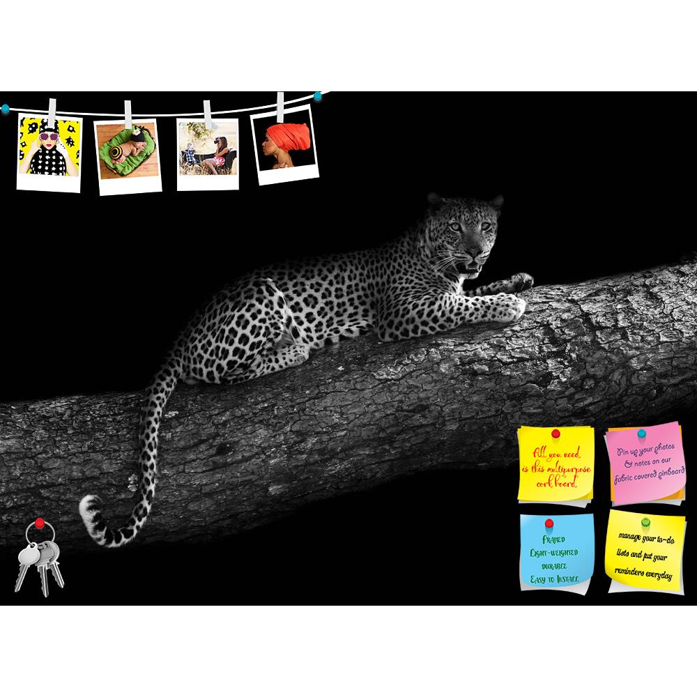 ArtzFolio Leopard In A Tree Printed Bulletin Board Notice Pin Board Soft Board | Frameless-Bulletin Boards Frameless-AZSAO25853815BLB_FL_L-Image Code 5003229 Vishnu Image Folio Pvt Ltd, IC 5003229, ArtzFolio, Bulletin Boards Frameless, Animals, Photography, leopard, in, a, tree, printed, bulletin, board, notice, pin, soft, frameless, black, white, image, artistic, edit, monochrome, africa, animal, big, cat, and, mammal, nature, relaxed, resting, safari, wild, wildlife, pin up board, push pin board, extra la