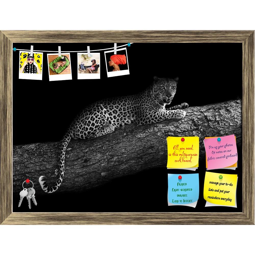 ArtzFolio Leopard In A Tree Printed Bulletin Board Notice Pin Board Soft Board | Framed-Bulletin Boards Framed-AZSAO25853815BLB_FR_L-Image Code 5003229 Vishnu Image Folio Pvt Ltd, IC 5003229, ArtzFolio, Bulletin Boards Framed, Animals, Photography, leopard, in, a, tree, printed, bulletin, board, notice, pin, soft, framed, black, white, image, artistic, edit, monochrome, africa, animal, big, cat, and, mammal, nature, relaxed, resting, safari, wild, wildlife, pin up board, push pin board, extra large cork boa