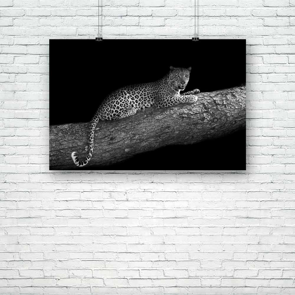 Leopard In A Tree Unframed Paper Poster-Paper Posters Unframed-POS_UN-IC 5003229 IC 5003229, African, Animals, Black, Black and White, Nature, Scenic, White, Wildlife, leopard, in, a, tree, unframed, paper, poster, africa, animal, big, cat, and, mammal, monochrome, relaxed, resting, safari, wild, artzfolio, posters, wall posters, posters for room, posters for room decoration, office poster, door poster, baby poster, motivational posters, posters for room boys, quotes, poster for wall decoration, friends pos
