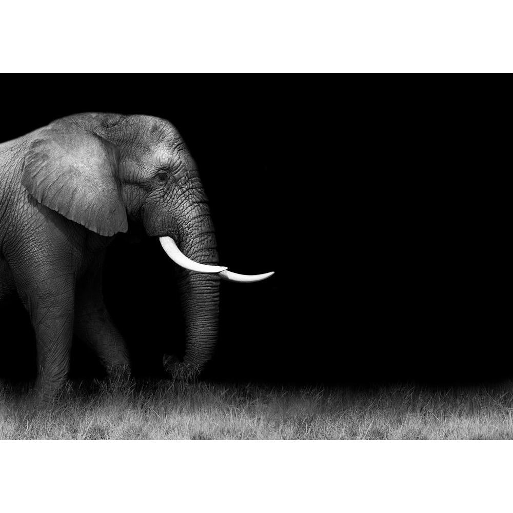 Wild African Elephant Canvas Painting Synthetic Frame-Paintings MDF Framing-AFF_FR-IC 5003230 IC 5003230, African, Animals, Automobiles, Baby, Children, Kids, Nature, Scenic, Space, Transportation, Travel, Vehicles, Wildlife, wild, elephant, canvas, painting, synthetic, frame, africa, animal, big, bush, conservation, endangered, herbivore, large, mammal, mother, park, refreshing, reserve, safari, small, south, strong, tourism, tourist, trunk, zambia, artzfolio, wall decor for living room, wall frames for li