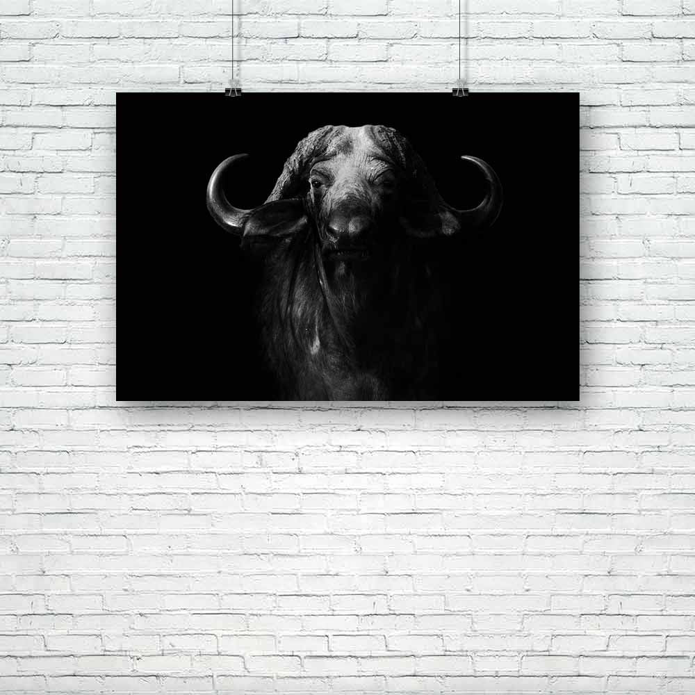Wild African Cape Buffalo Unframed Paper Poster-Paper Posters Unframed-POS_UN-IC 5003231 IC 5003231, African, Animals, Black, Black and White, Nature, Scenic, Sports, White, Wildlife, wild, cape, buffalo, unframed, paper, poster, africa, animal, and, conservation, facing, game, herd, large, looking, mammal, monochrome, national, park, reserve, safari, savanna, vacation, zambia, artzfolio, posters, wall posters, posters for room, posters for room decoration, office poster, door poster, baby poster, motivatio