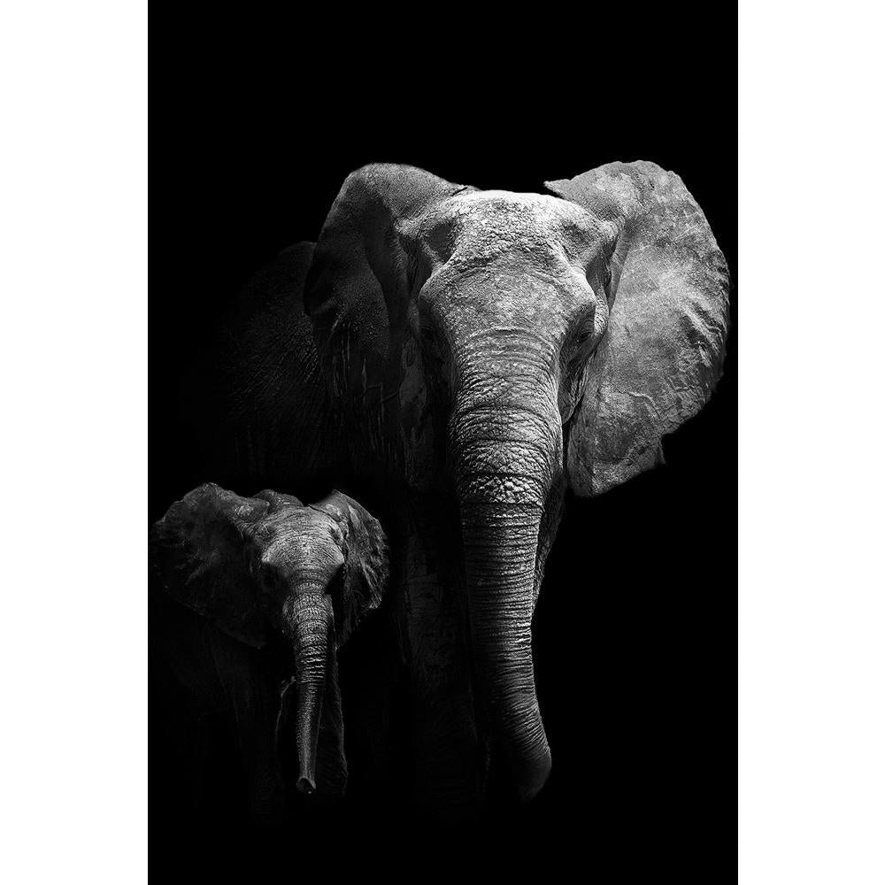 ArtzFolio Mother Walking With Her Baby Unframed Paper Poster-Paper Posters Unframed-AZART25853843POS_UN_L-Image Code 5003232 Vishnu Image Folio Pvt Ltd, IC 5003232, ArtzFolio, Paper Posters Unframed, Animals, Photography, mother, walking, with, her, baby, unframed, paper, poster, wall, large, size, for, living, room, home, decoration, big, framed, decor, posters, pitaara, box, modern, art, frame, bedroom, amazonbasics, door, drawing, small, decorative, office, reception, multiple, friends, images, reprints,