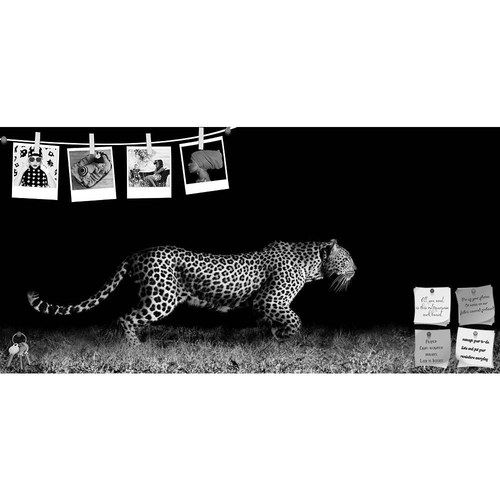 ArtzFolio Wild African Leopard Printed Bulletin Board Notice Pin Board Soft Board | Frameless-Bulletin Boards Frameless-AZSAO25853846BLB_FL_L-Image Code 5003233 Vishnu Image Folio Pvt Ltd, IC 5003233, ArtzFolio, Bulletin Boards Frameless, Animals, Photography, wild, african, leopard, printed, bulletin, board, notice, pin, soft, frameless, black, white, image, stalking, monochrome, africa, angry, animal, big, carnivore, cat, close, closeup, danger, dangerous, hunter, mammal, nature, outdoors, park, portrait,