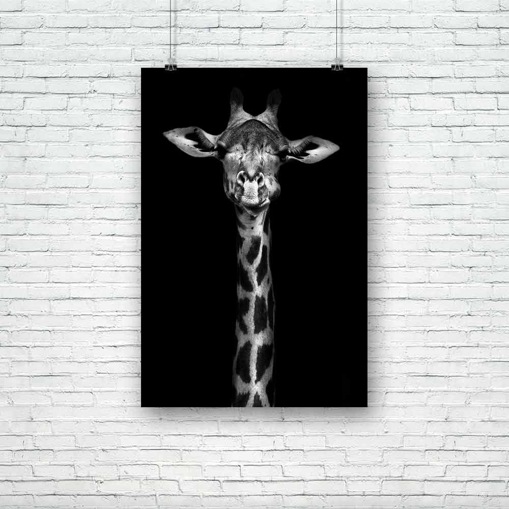 Thornycroft Giraffe Unframed Paper Poster-Paper Posters Unframed-POS_UN-IC 5003234 IC 5003234, African, Animals, Black, Black and White, Nature, Scenic, White, Wildlife, thornycroft, giraffe, unframed, paper, poster, and, africa, animal, background, beautiful, cute, head, high, long, mammal, monochrome, safari, spots, tall, wild, zambia, artzfolio, posters, wall posters, posters for room, posters for room decoration, office poster, door poster, baby poster, motivational posters, posters for room boys, quote