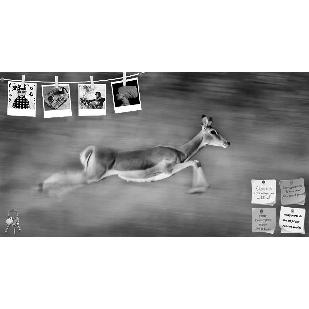 ArtzFolio Image Of An Impala Printed Bulletin Board Notice Pin Board Soft Board | Frameless-Bulletin Boards Frameless-AZSAO25853853BLB_FL_L-Image Code 5003235 Vishnu Image Folio Pvt Ltd, IC 5003235, ArtzFolio, Bulletin Boards Frameless, Animals, Photography, image, of, an, impala, printed, bulletin, board, notice, pin, soft, frameless, motion, blur, running, very, fast, monochrome, zambia, africa, animal, black, and, white, mammal, nature, safari, speed, wild, wildlife, pin up board, push pin board, extra l