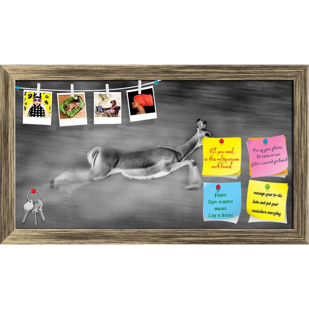 ArtzFolio Image Of An Impala Printed Bulletin Board Notice Pin Board Soft Board | Framed-Bulletin Boards Framed-AZSAO25853853BLB_FR_L-Image Code 5003235 Vishnu Image Folio Pvt Ltd, IC 5003235, ArtzFolio, Bulletin Boards Framed, Animals, Photography, image, of, an, impala, printed, bulletin, board, notice, pin, soft, framed, motion, blur, running, very, fast, monochrome, zambia, africa, animal, black, and, white, mammal, nature, safari, speed, wild, wildlife, pin up board, push pin board, extra large cork bo