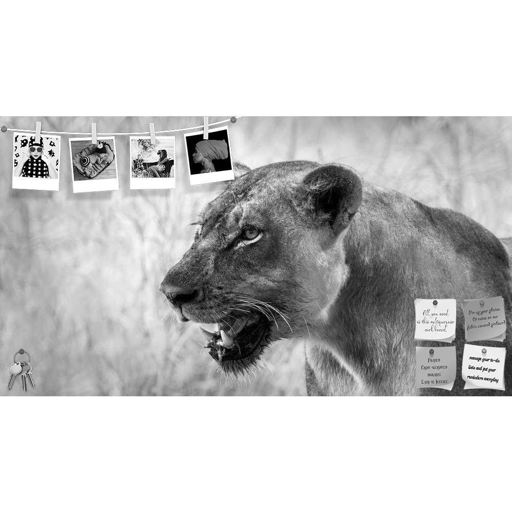 ArtzFolio Image Of An African Lion Printed Bulletin Board Notice Pin Board Soft Board | Frameless-Bulletin Boards Frameless-AZSAO25853856BLB_FL_L-Image Code 5003236 Vishnu Image Folio Pvt Ltd, IC 5003236, ArtzFolio, Bulletin Boards Frameless, Animals, Photography, image, of, an, african, lion, printed, bulletin, board, notice, pin, soft, frameless, black, white, africa, animal, carnivore, cat, lioness, mammal, monochrome, predator, safari, wild, wildlife, baby, big, bush, conservation, elephant, endangered,