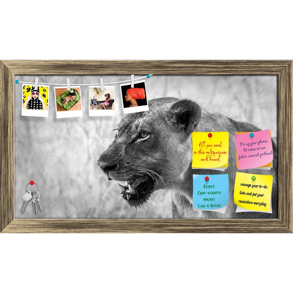 ArtzFolio Image Of An African Lion Printed Bulletin Board Notice Pin Board Soft Board | Framed-Bulletin Boards Framed-AZSAO25853856BLB_FR_L-Image Code 5003236 Vishnu Image Folio Pvt Ltd, IC 5003236, ArtzFolio, Bulletin Boards Framed, Animals, Photography, image, of, an, african, lion, printed, bulletin, board, notice, pin, soft, framed, black, white, africa, animal, carnivore, cat, lioness, mammal, monochrome, predator, safari, wild, wildlife, baby, big, bush, conservation, elephant, endangered, herbivore, 