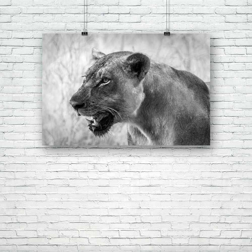 Image Of An African Lion Unframed Paper Poster-Paper Posters Unframed-POS_UN-IC 5003236 IC 5003236, African, Animals, Automobiles, Baby, Black, Black and White, Children, Kids, Nature, Scenic, Transportation, Travel, Vehicles, White, Wildlife, image, of, an, lion, unframed, paper, poster, africa, animal, big, bush, carnivore, cat, conservation, elephant, endangered, herbivore, large, lioness, mammal, monochrome, mother, park, predator, refreshing, reserve, safari, small, south, strong, tourism, tourist, tru