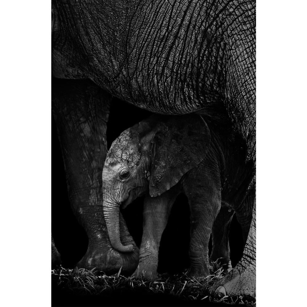 ArtzFolio Baby Elephant Being Protected By It's Mother Unframed Paper Poster-Paper Posters Unframed-AZART25853877POS_UN_L-Image Code 5003238 Vishnu Image Folio Pvt Ltd, IC 5003238, ArtzFolio, Paper Posters Unframed, Animals, Photography, baby, elephant, being, protected, by, it's, mother, unframed, paper, poster, wall, large, size, for, living, room, home, decoration, big, framed, decor, posters, pitaara, box, modern, art, with, frame, bedroom, amazonbasics, door, drawing, small, decorative, office, recepti