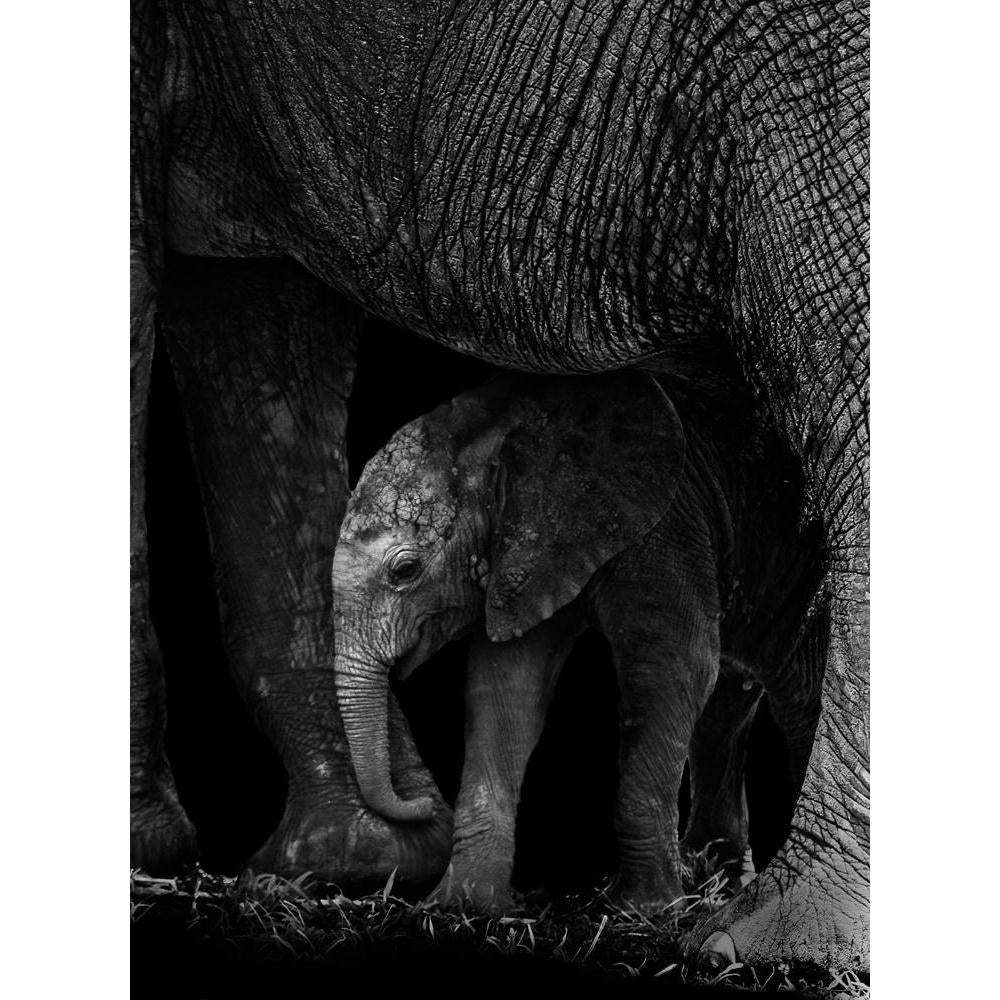Baby Elephant Being Protected By It's Mother Canvas Painting Synthetic Frame-Paintings MDF Framing-AFF_FR-IC 5003238 IC 5003238, African, Animals, Automobiles, Baby, Children, Kids, Nature, Scenic, Transportation, Travel, Vehicles, Wildlife, elephant, being, protected, by, it's, mother, canvas, painting, synthetic, frame, africa, animal, big, bush, conservation, endangered, herbivore, large, mammal, park, refreshing, reserve, safari, small, south, strong, tourism, tourist, trunk, wild, zambia, artzfolio, wa