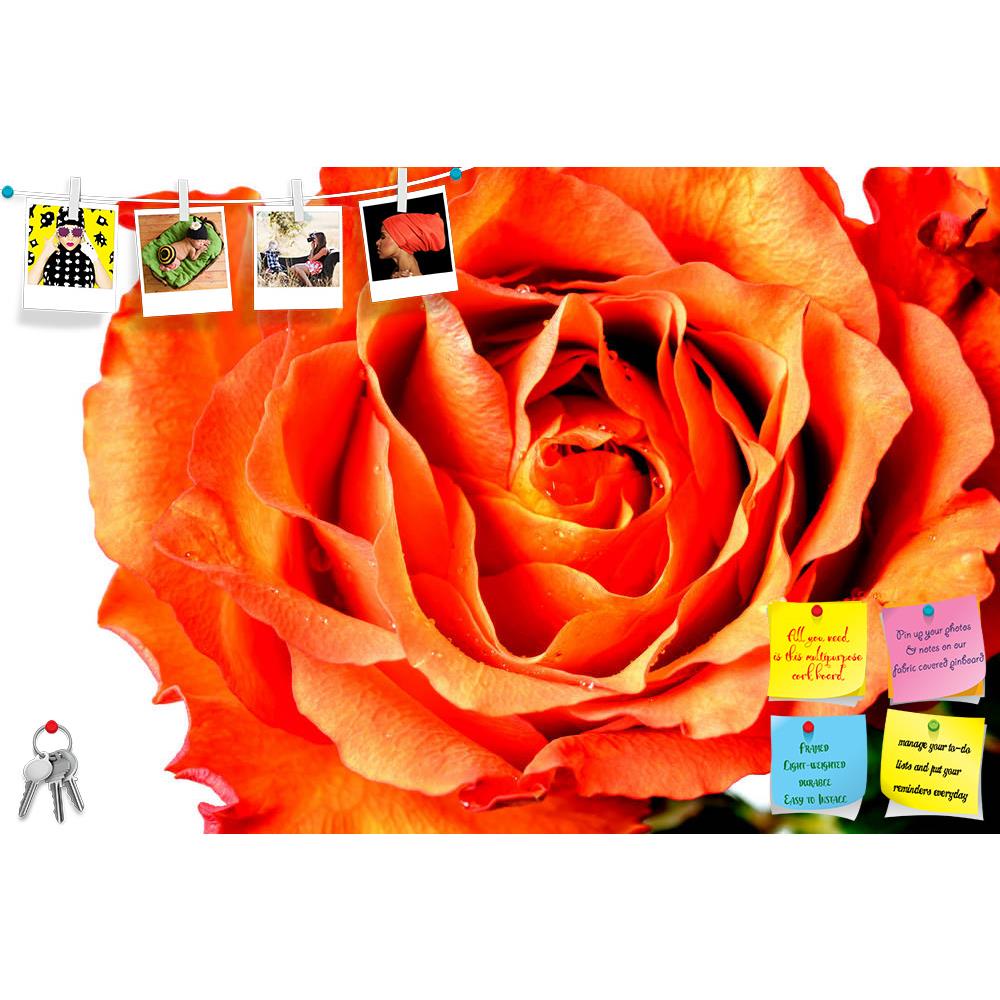 ArtzFolio Orange Rose Petals Printed Bulletin Board Notice Pin Board Soft Board | Frameless-Bulletin Boards Frameless-AZSAO26945189BLB_FL_L-Image Code 5003335 Vishnu Image Folio Pvt Ltd, IC 5003335, ArtzFolio, Bulletin Boards Frameless, Floral, Photography, orange, rose, petals, printed, bulletin, board, notice, pin, soft, frameless, close, closeup, pink, petal, wet, bud, rosa, white, passion, red, day, aroma, anniversary, flower, leaf, holiday, bright, symbol, celebration, summer, blossom, bloom, open, gif